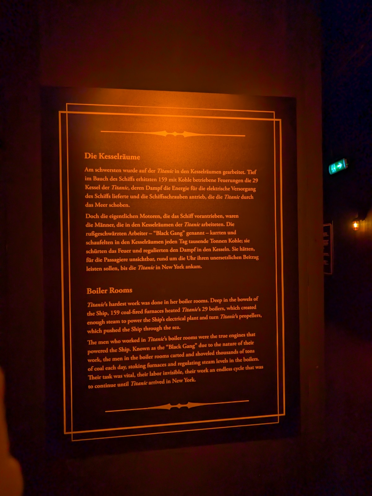 PXL 20241217 113044084.NIGHT